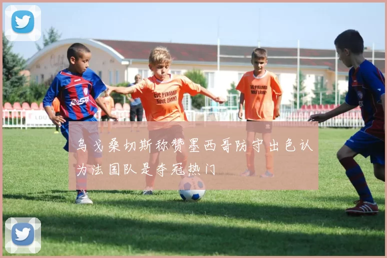 乌戈桑切斯称赞墨西哥防守出色认为法国队是夺冠热门